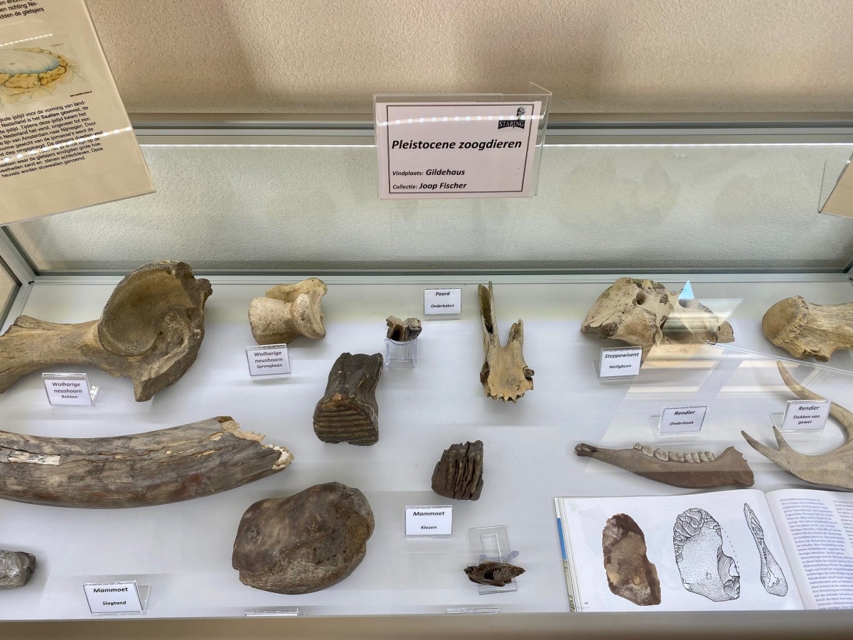 Geologiemuseum Losser Visit De Lutte Losser