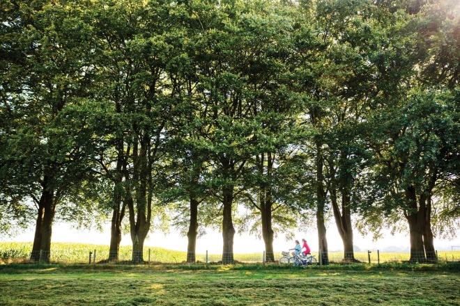 Twee mensen fietsen langs een rij bomen in een zonnig, groen landschap met gras en veld op de achtergrond.