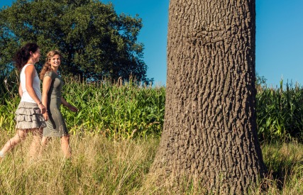 Zwei Frauen spazieren an einem großen Baum vorbei auf einer Wiese mit Mais und klarem blauen Himmel.