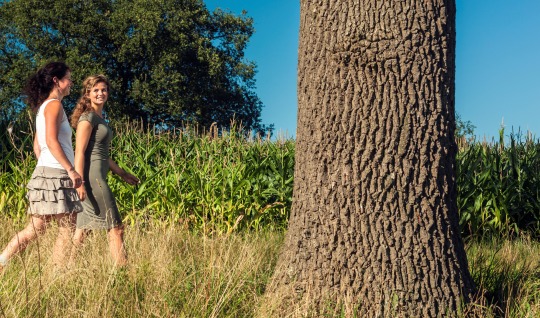 Twee vrouwen wandelen langs een groot boom in een veld met gras en maïs onder een heldere blauwe lucht.