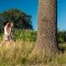 Twee vrouwen wandelen langs een groot boom in een veld met gras en maïs onder een heldere blauwe lucht.