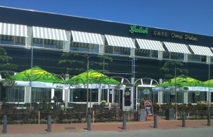 cropped-Terras-Ome-Dries