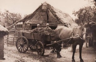 museum_Landbouw-museum-Avereest-Dedemsvaart-09