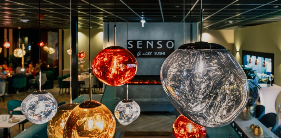 SENSO omslagafbeelding visithardenberg