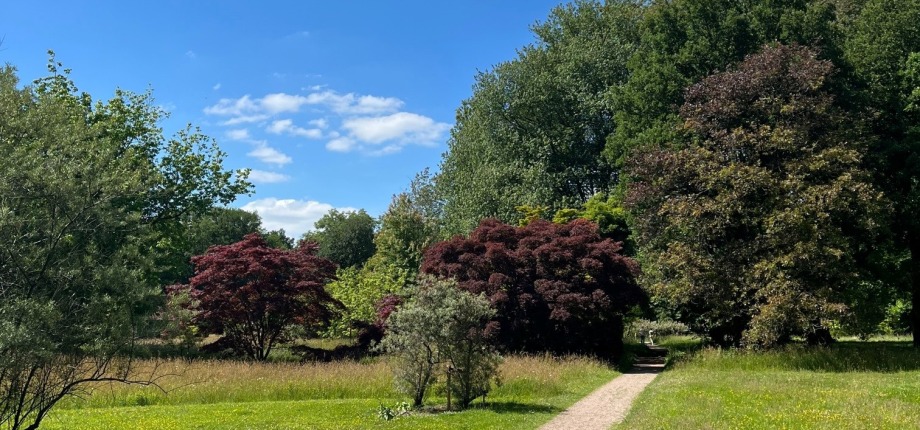 half verharde wandelpaden