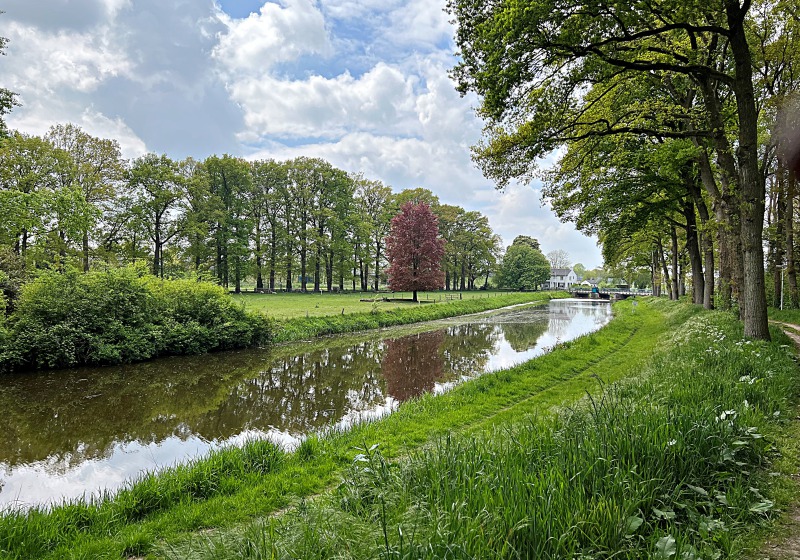 Rustig landschap met een kanaal, groene bomenrijen, een opvallende rode boom en een huis op de achtergrond.