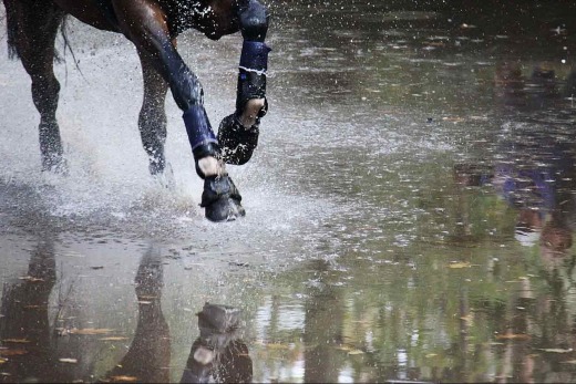 Paardenbenen spatten door water met reflectie van toeschouwers en natuur op het wateroppervlak.