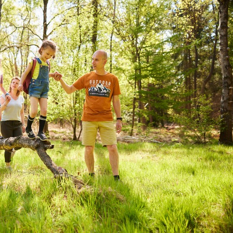Een gezin van vier wandelt in een zonnig bos, waarbij de kinderen samen over een dikke, gevallen boomstam lopen.