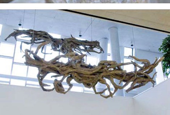 Close-up van modderige nesten gevolgd door een beeld van een grote, wortelachtige sculptuur aan het plafond.