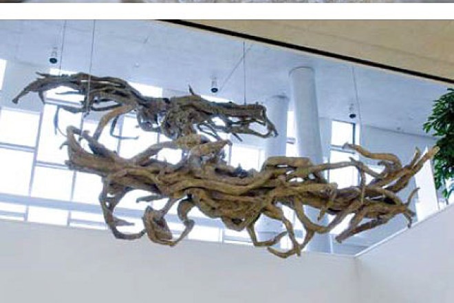 Close-up van modderige nesten gevolgd door een beeld van een grote, wortelachtige sculptuur aan het plafond.