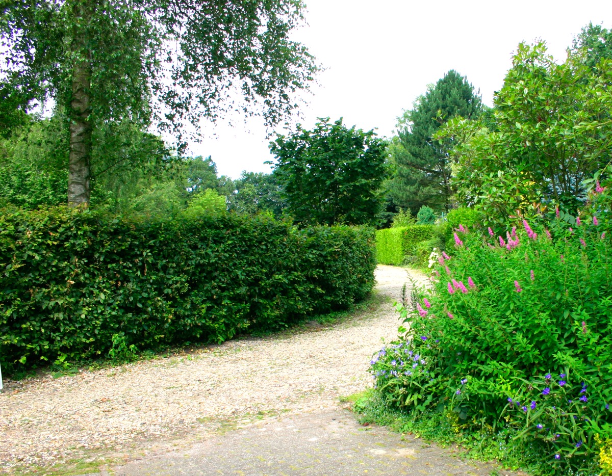Camping-Chaletpark Kuiperberg - Photo 2