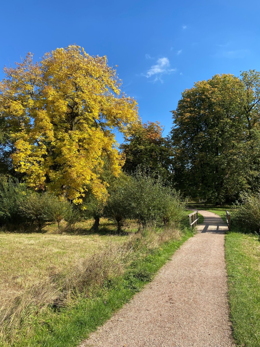 Arboretum Poortbulten Visit De Lutte Losser