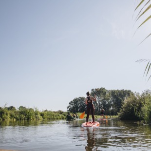 Twee mensen peddelen op een zonnige dag staand op een supboard door een rustige rivier omringd door natuur.