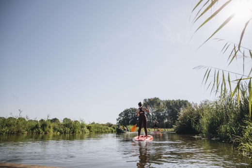 Twee mensen peddelen op een zonnige dag staand op een supboard door een rustige rivier omringd door natuur.