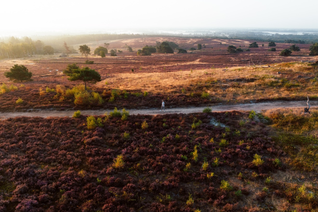 Nationaal park de Sallandse Heuvelrug VisitOost Nationaal park de Sallandse Heuvelrug VisitOost