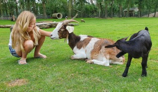 Kinderboerderij Dondertman