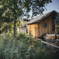 Houten huisje aan het water, omgeven door bomen en riet, in een rustige groene omgeving in de natuur.