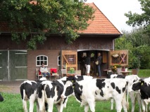 Koffie- & Theehuisje`t Stekkie