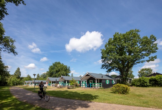 Vakantiehuizen in een groene omgeving met fietser op pad, blauwe lucht en zomerse sfeer in Nederland.