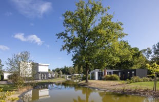 Moderne huisjes en een grote boom aan een vijver onder een blauwe lucht op een zonnige dag in Nederland.