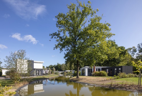 Moderne huisjes en een grote boom aan een vijver onder een blauwe lucht op een zonnige dag in Nederland.