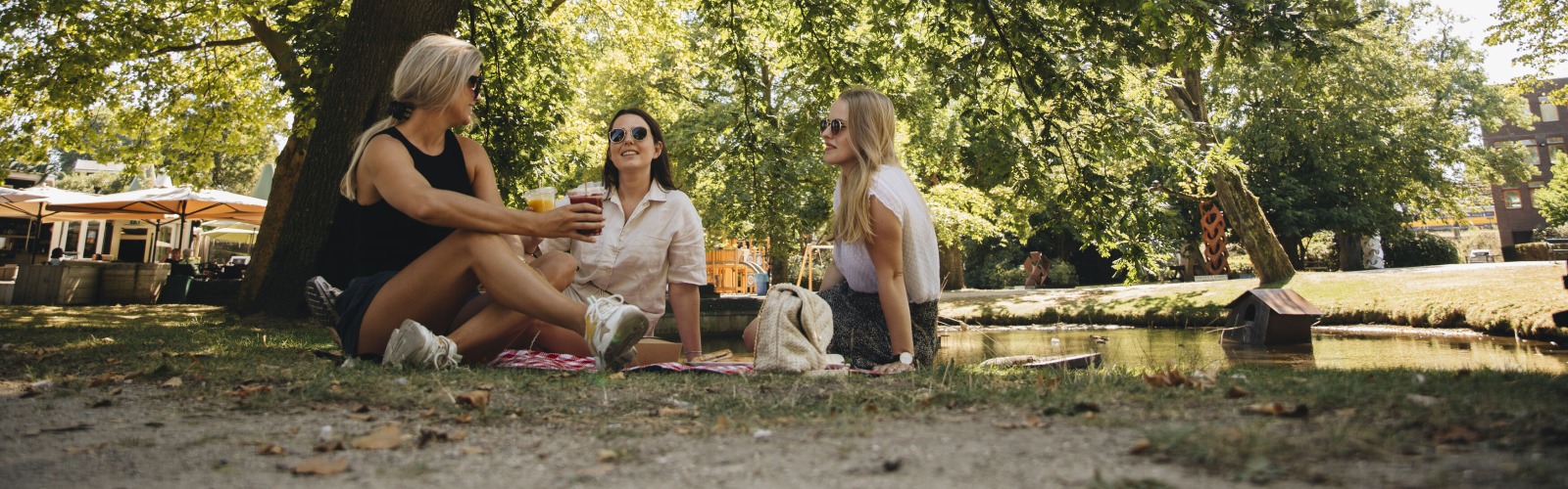 Drie vrouwen zitten op een kleedje in een park onder een grote boom en genieten van een picknick.