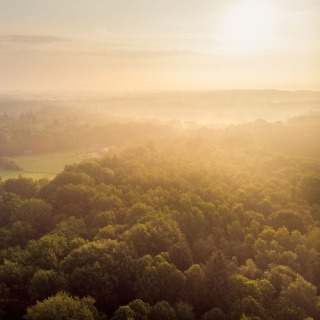Luchtfoto van een zonovergoten bos en velden bij zonsopgang, met zachte nevel en warme lichtstralen.
