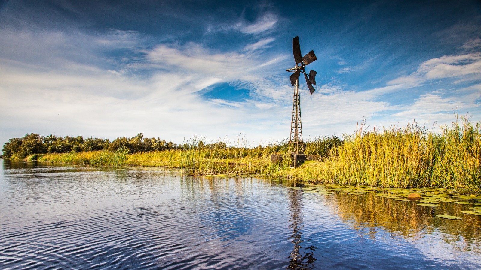 Landschap met een windmolen aan de waterkant, omgeven door riet en een blauwe lucht in Nederland.