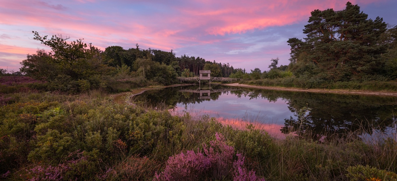 Haarplas Rondje Rheeze