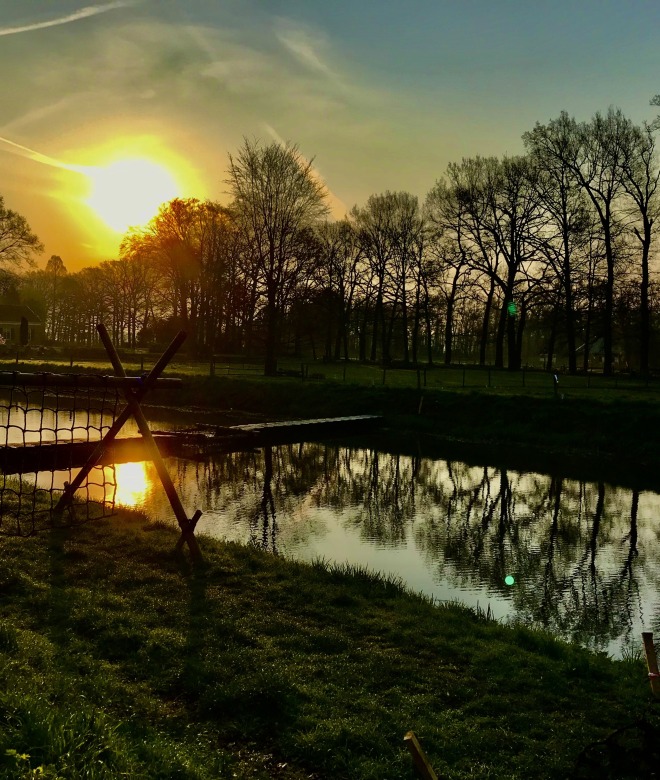 Zonsondergang bij een vijver met reflectie van bomen, klimgarnet en groen gras in het Nederlandse landschap.