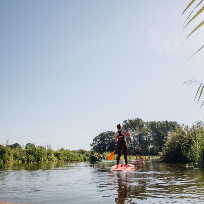 Twee mensen peddelen op een zonnige dag op een rustige rivier omgeven door groene natuur en riet.