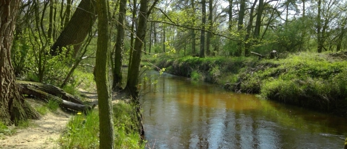 Mini Camping De Dam - Photo 2