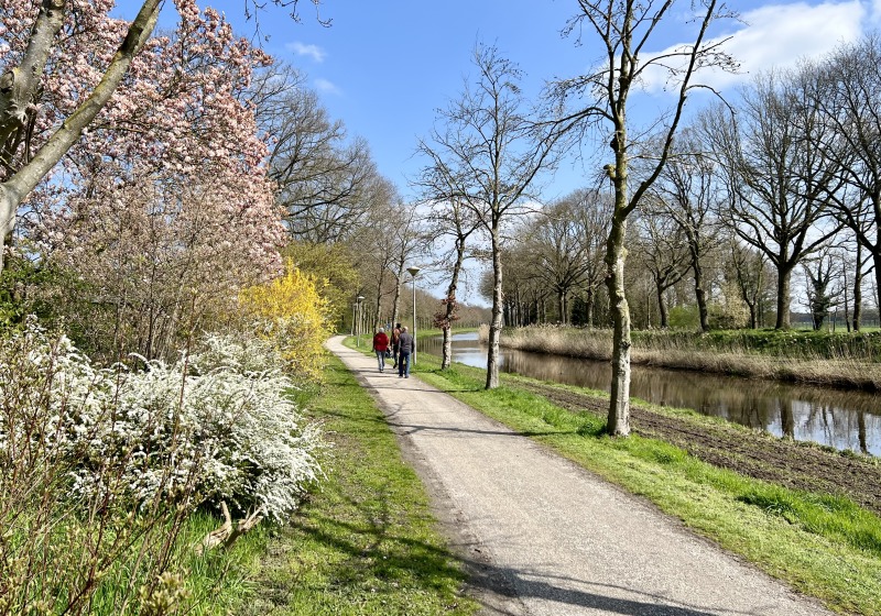 Een rustig wandelpad langs een kanaal met bloeiende bomen en struiken in het voorjaar, onder een blauwe lucht.