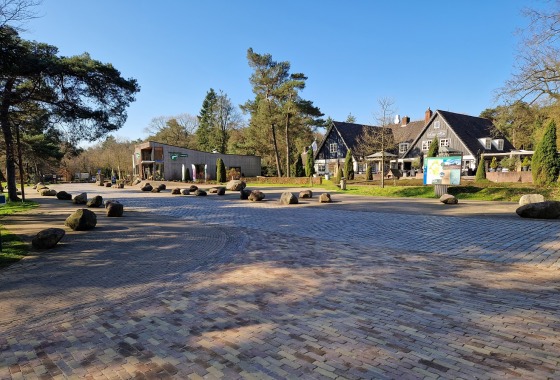 Rustieke straat met keien en huizen omringd door bomen op een zonnige dag in een Nederlands dorp.