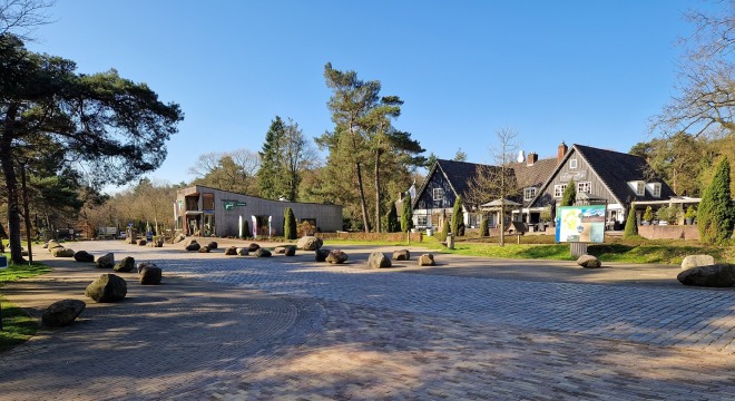 Rustieke straat met keien en huizen omringd door bomen op een zonnige dag in een Nederlands dorp.