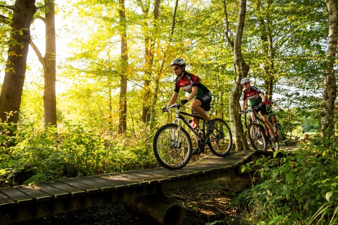 Twee mensen fietsen op mountainbikes over een houten brug in een zonnig, groen bos tijdens de dag.