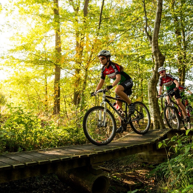 Twee mensen fietsen op mountainbikes over een houten brug in een zonnig, groen bos tijdens de dag.