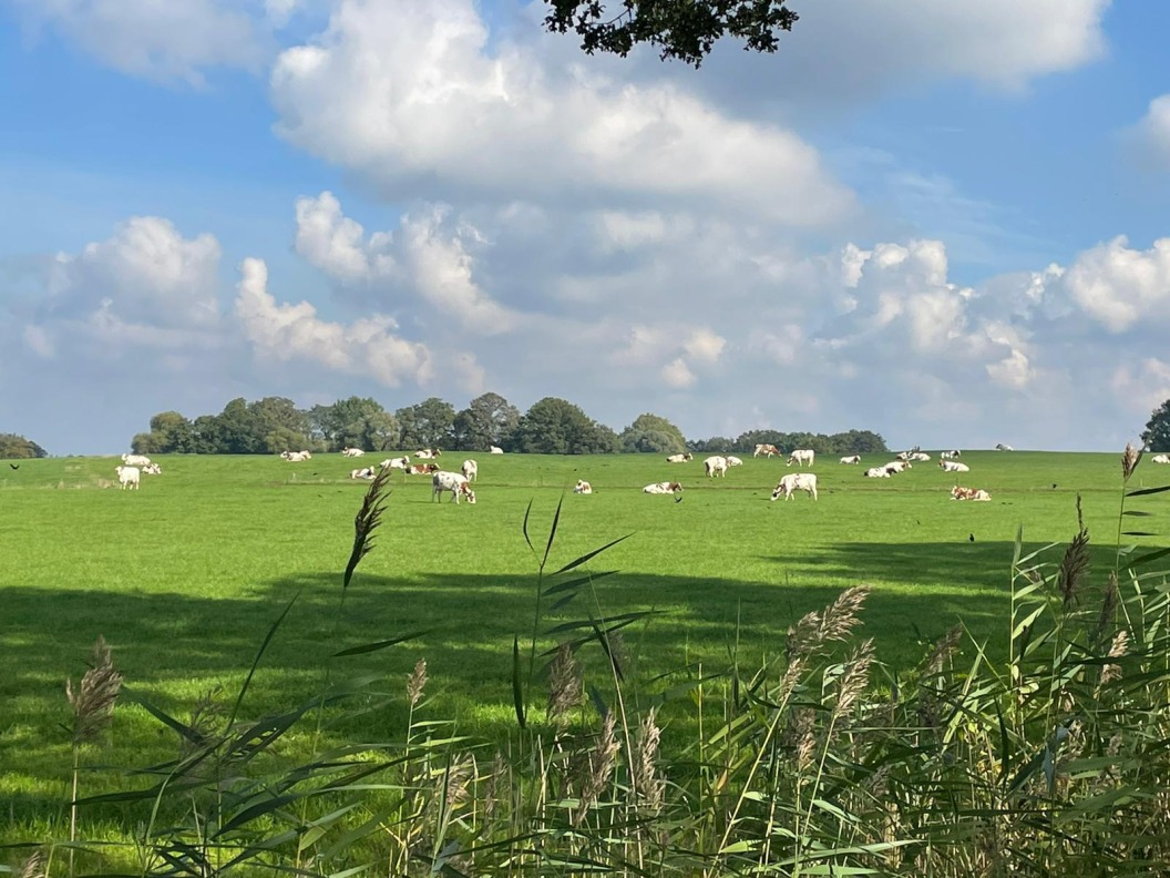 Buurtschap Egede