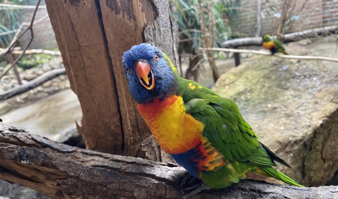 Emsflower Erlebnispark