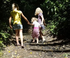 Scharrelkids-Doedag Zomer