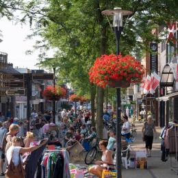 Drukke Nederlandse winkelstraat met mensen die buiten winkelen, bomen, fietsen en kleurrijke bloemen.