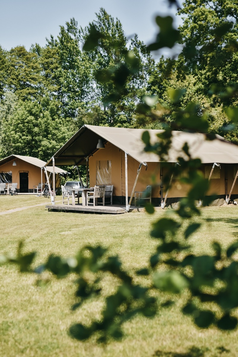 camping 2025 buchen Wohnmobil Geheimtipps 2025 + Clubmitgliedschaft  AlpacaCamping