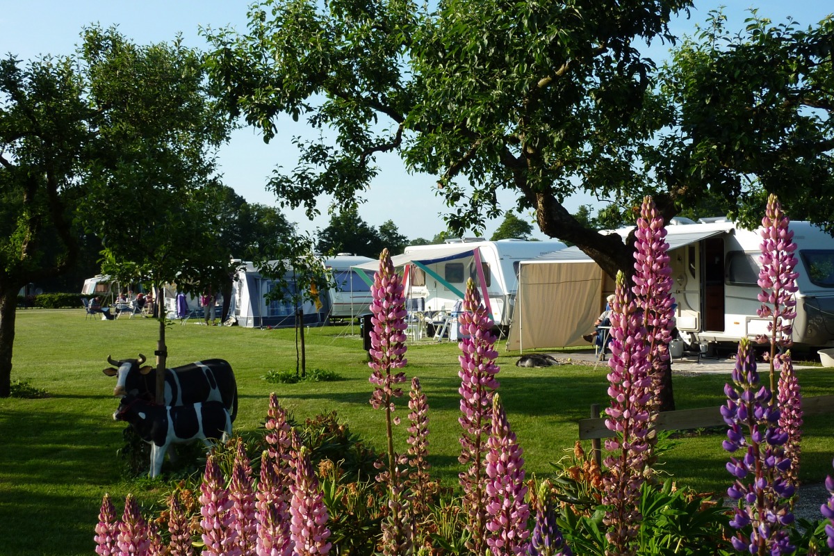 Holiday homes and Mini-camping De Veldzijde