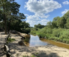 Osterspaziergang De Lutte