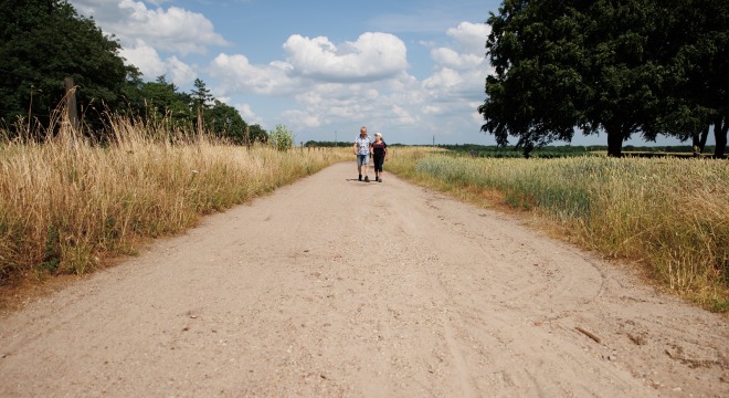 Twee mensen wandelen op een zandpad tussen hoge grasvelden onder een deels bewolkte hemel.