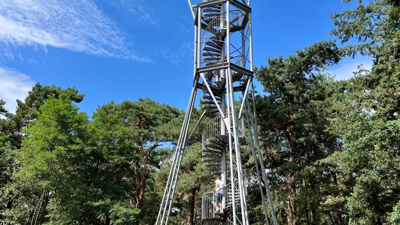 Naturschutzgebiet De Zandbergen