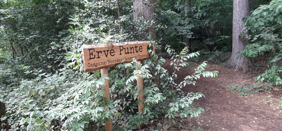 Erve Punte