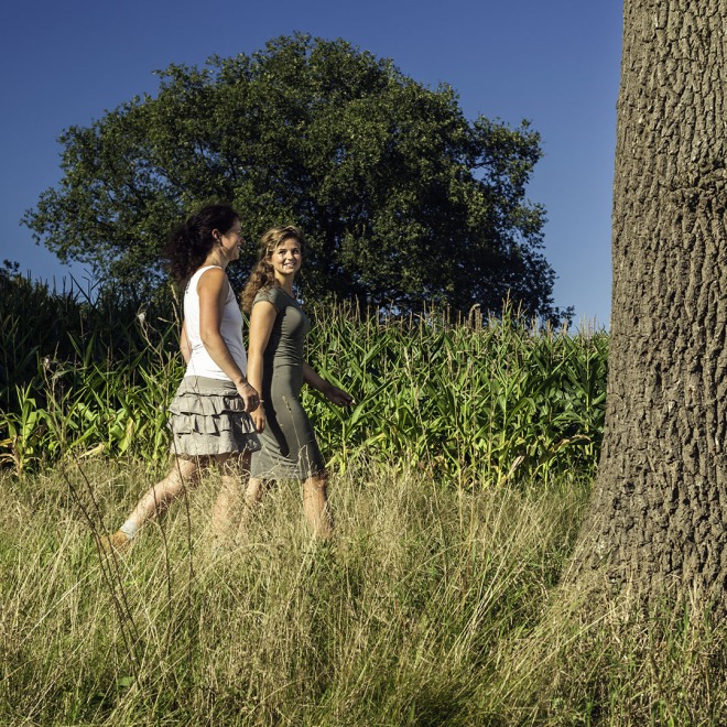 Twee vrouwen wandelen in zomerse kleding langs hoog gras en bomen op een zonnige dag in de natuur.