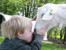 Speel- en kinderboerderij Strubbert