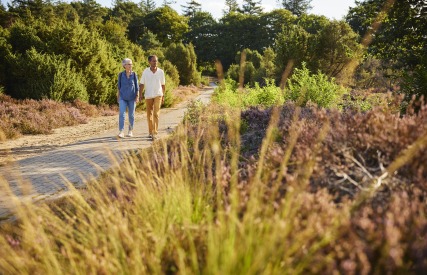Zwei ältere Menschen spazieren gemeinsam auf einem sonnigen Weg, umgeben von grünen Büschen und Bäumen.